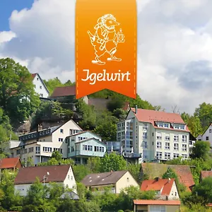 https://berggasthof-hotel-igelwirt.com-bavaria.com